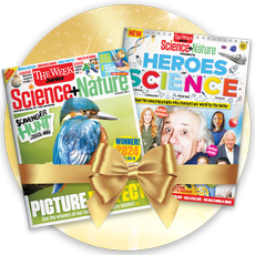 Science+Nature Christmas