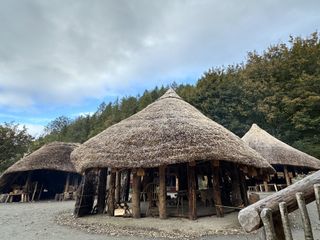 Three crannogs stand in the middle of a dirt area at the Scottish Crannog Center