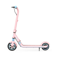 Ninebot eKickScooter ZING E8:&nbsp;was £219.99, now £179 .99 at Decathlon