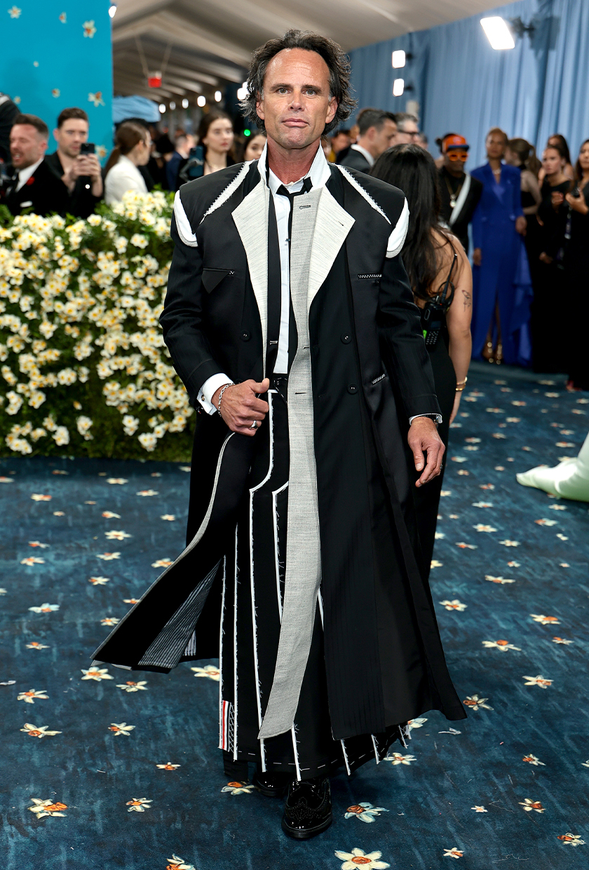 Met Gala red carpet 2025