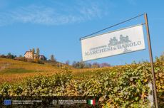 Marchesi di Barolo in the Langhe area, Piedmont
