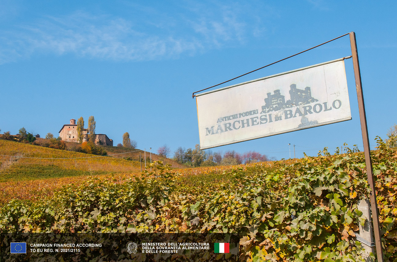 Marchesi di Barolo in the Langhe area, Piedmont