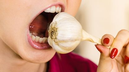 Close up of a mouth about to bite into a whole bulb of garlic