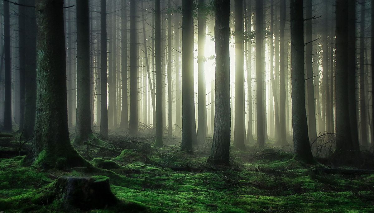 Guy Krier (Luxembourg) photograph