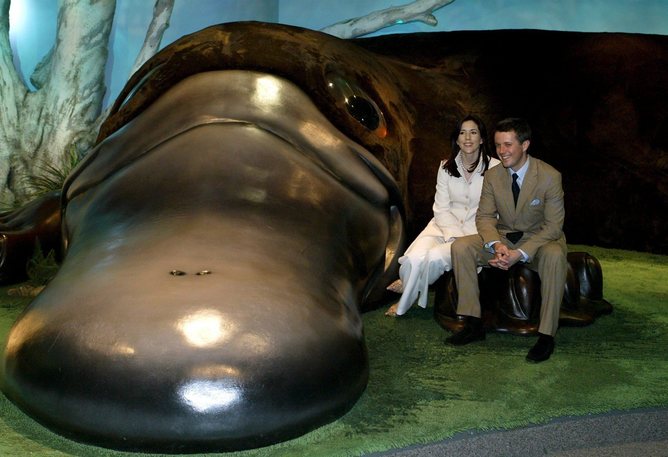 Not quite THAT big.