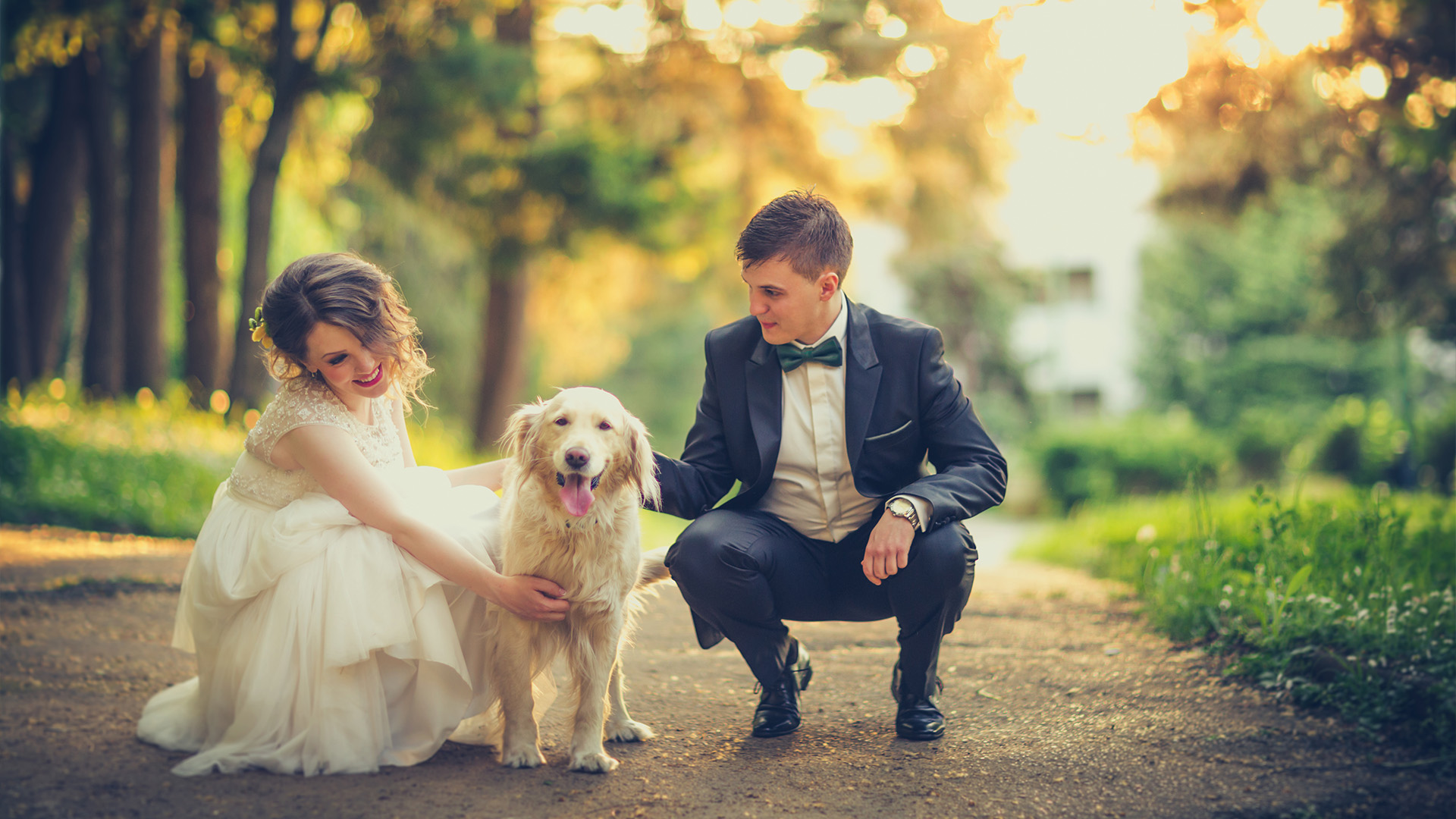 Dog at wedding posing for photo with bride and groom