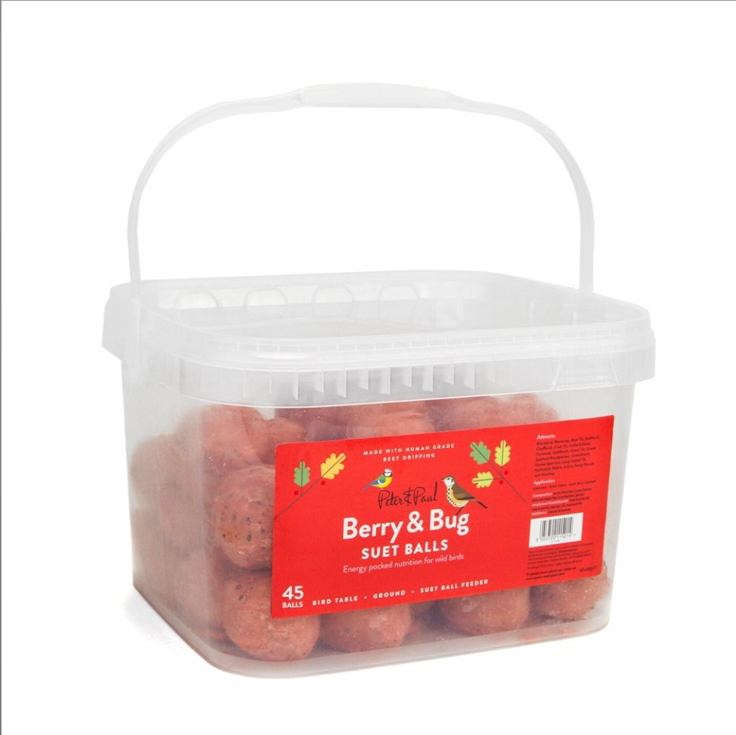Berry &amp;amp; Bug Wild Bird Suet Balls