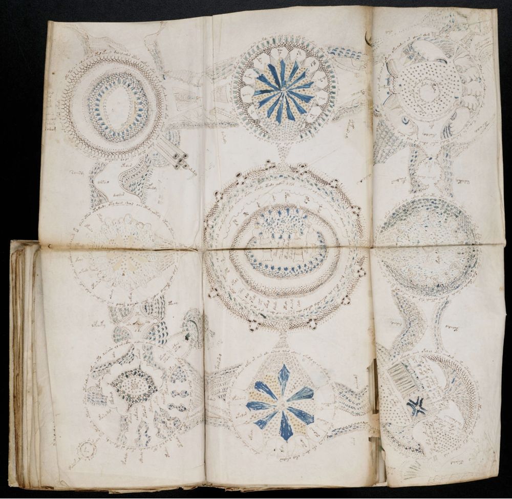 voynich manuscript illustrations