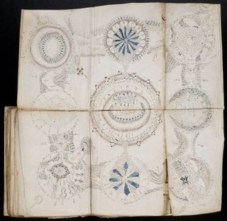 The Voynich manuscript's unintelligible writings and strange illustrations have defied every attempt at understanding their meaning.