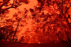 Australian wildfires.