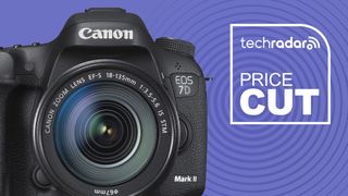 Canon EOS 6D Mark II camera on purple background