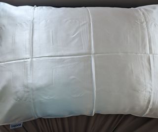 A Lagoon Silk Pillowcase on the Lagoon Fox Pillow.