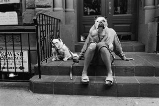 Black-and-white photo of two dogs on a doorstep, with one sitting on a person's lap