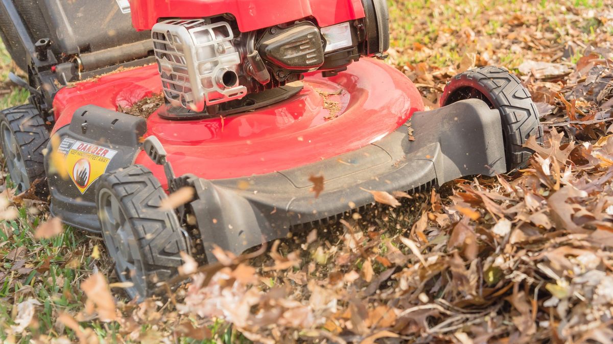 Mulching leaves