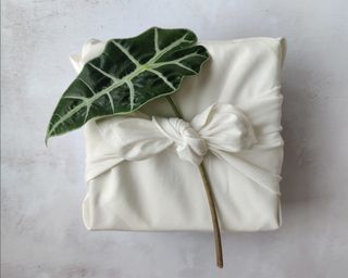 Furoshiki Fabric Wrap Co