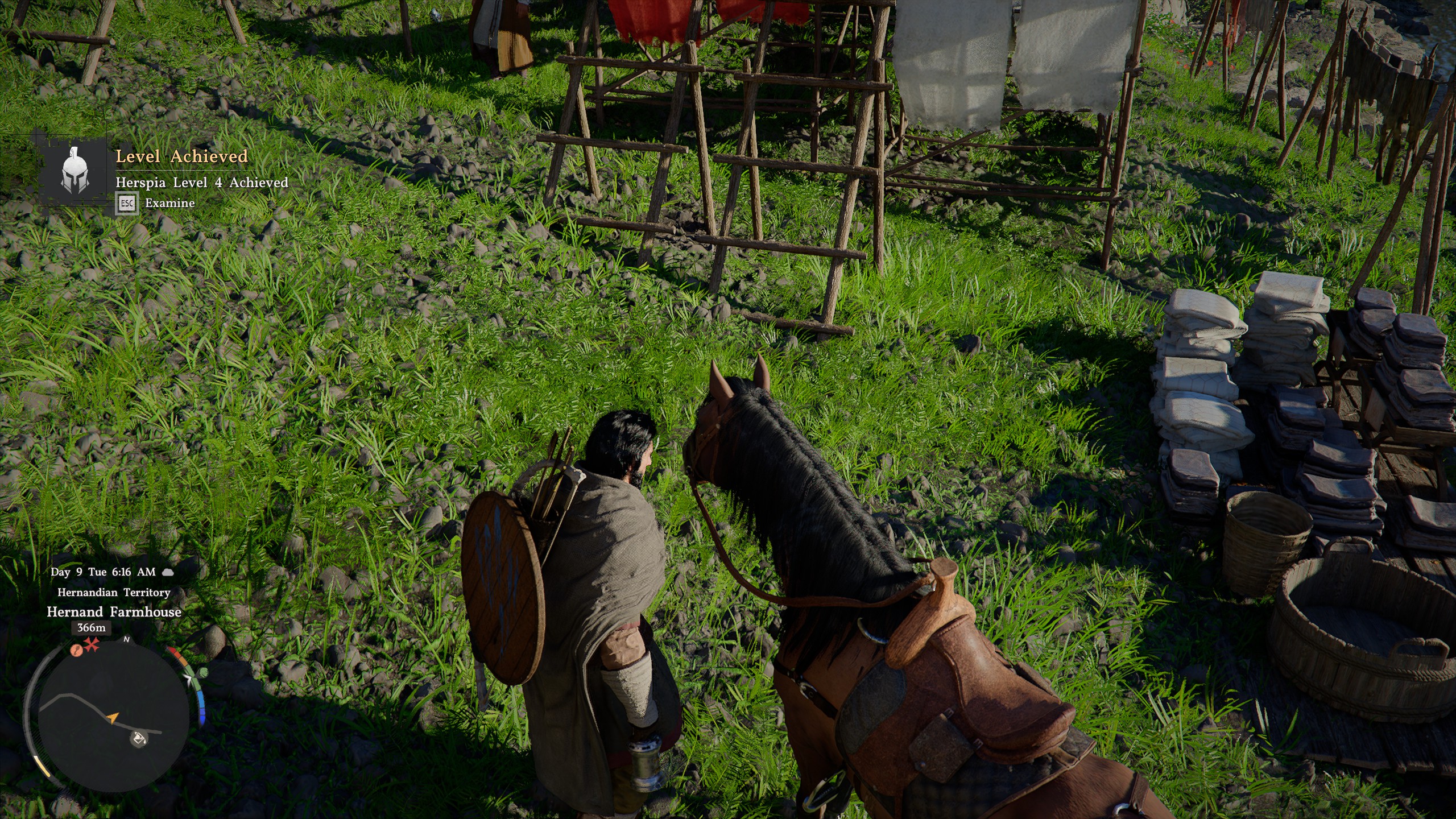 Crimson Desert horse level up