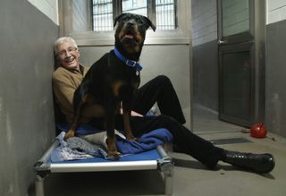 Paul O'Grady For The Love of Dogs