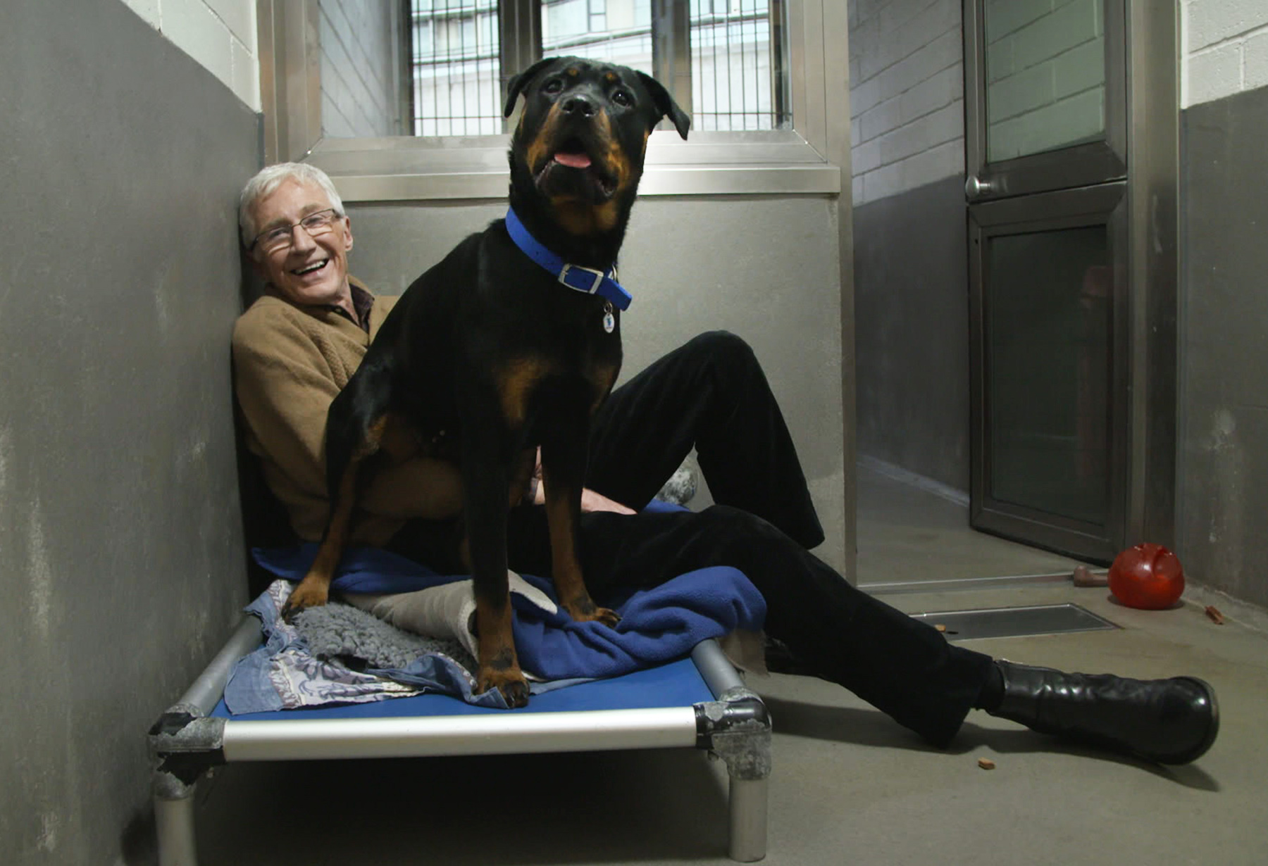 Paul O Grady For The Love Of Dogs 2021 Itv Release Date What To Watch