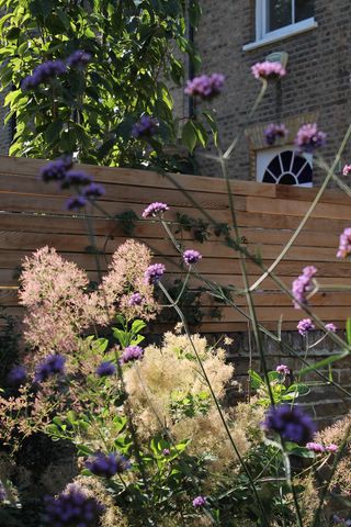 how to plan a modern garden with flowers