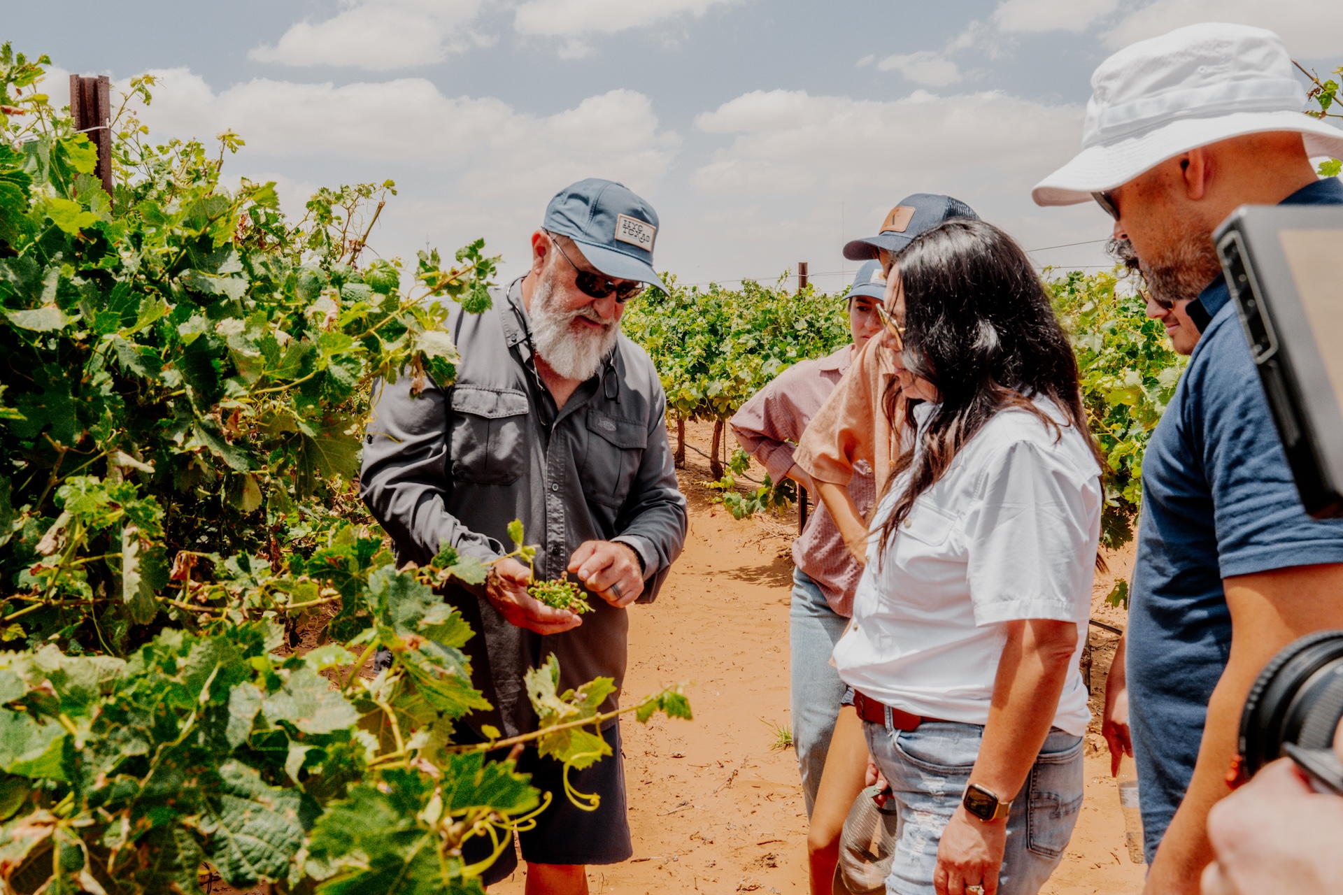 Grower Andy Timmons giving a tour of one of his vineyards to a team from William Chris Vineyards.