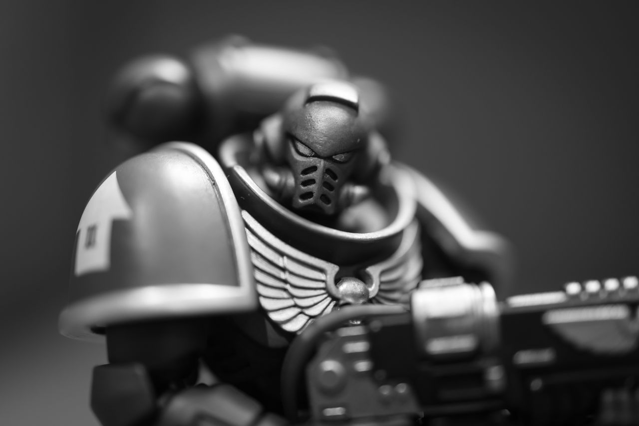 Canon EOS R6 Mark III sample