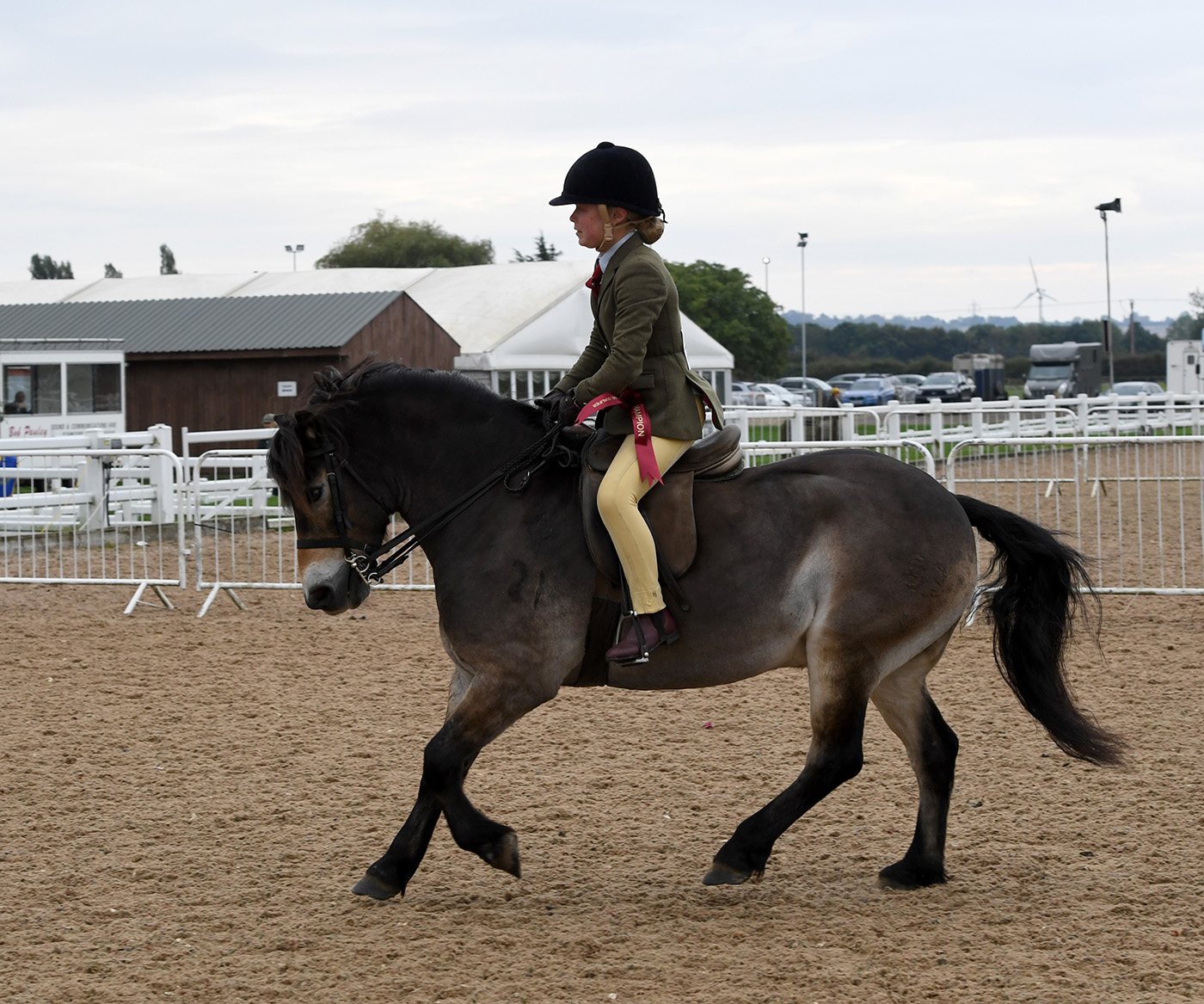 Heritage Show 17.10.21CL 85No. 157 Eddra Chillies. Alice Tomlinson