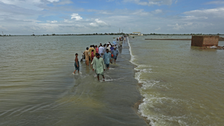 People wade through water in the flooded Rajanpur region
