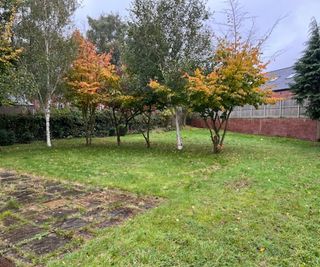 A garden with a variety of trees to the back of a church