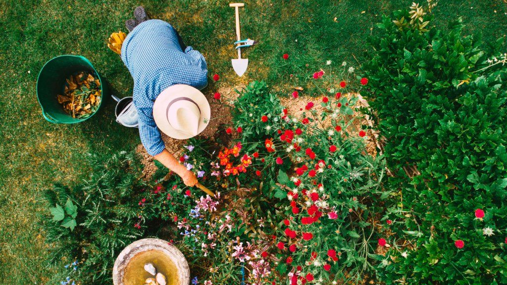 Overhead view of a gardener digging in the dirt