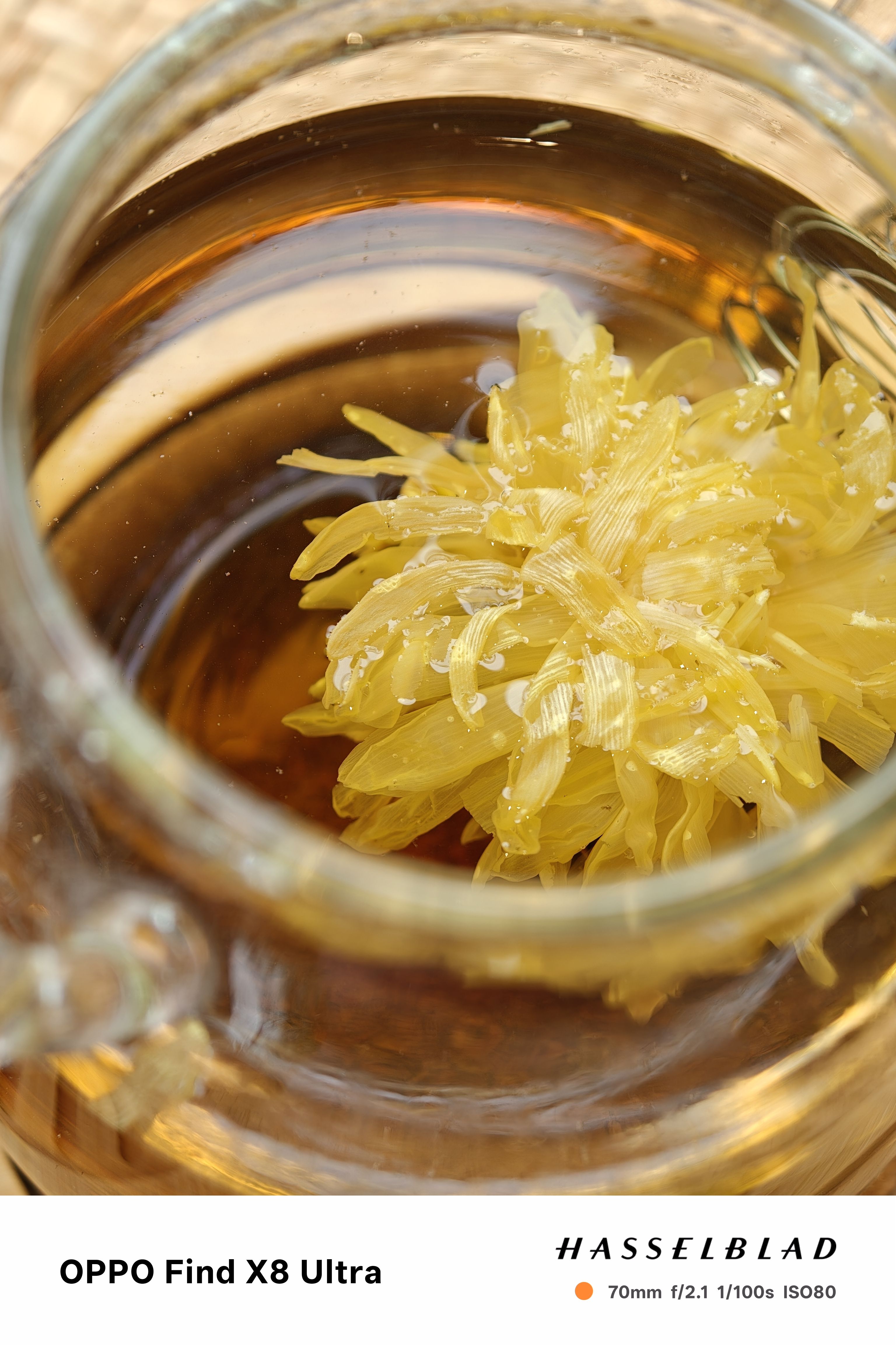 A close up macro shot of a herbal tea plant infusion