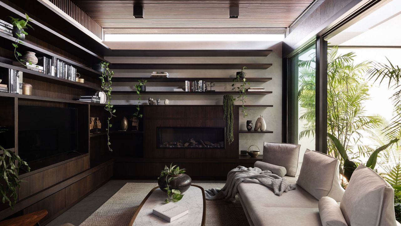 A cozy living room with a collection of potted houseplants