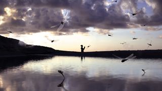 Silhouetted person at dusk with giant dragonflies near water and cloudy sky