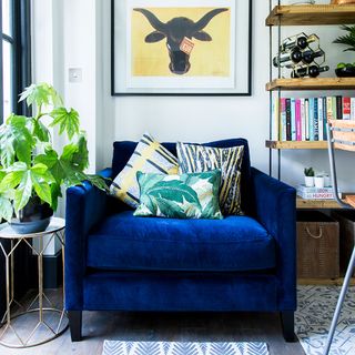 room with wooden bookshelf and dark blue sofa