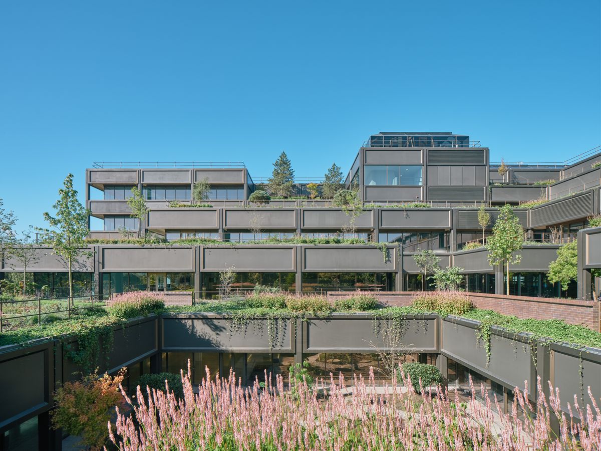 A brutalist garden revived: the case of the Mountbatten House grounds by Studio Knight Stokoe