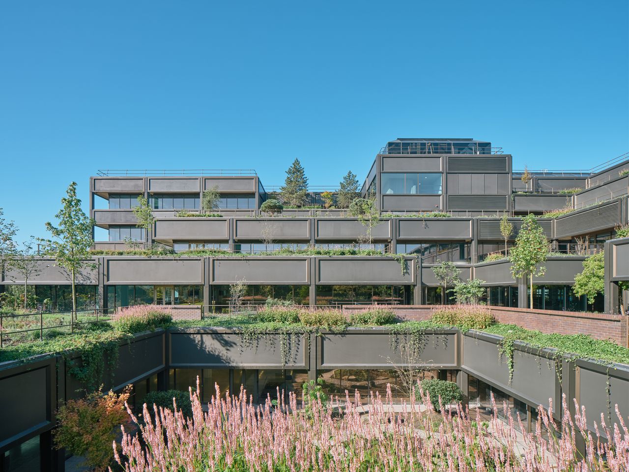 Image of landscape architecture brutalist garden