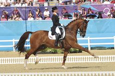 Adelinde cornelissen and Parzival