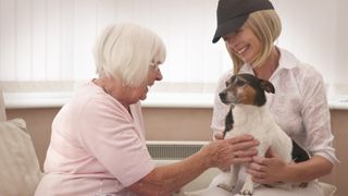 Therapy dog with elderly lady