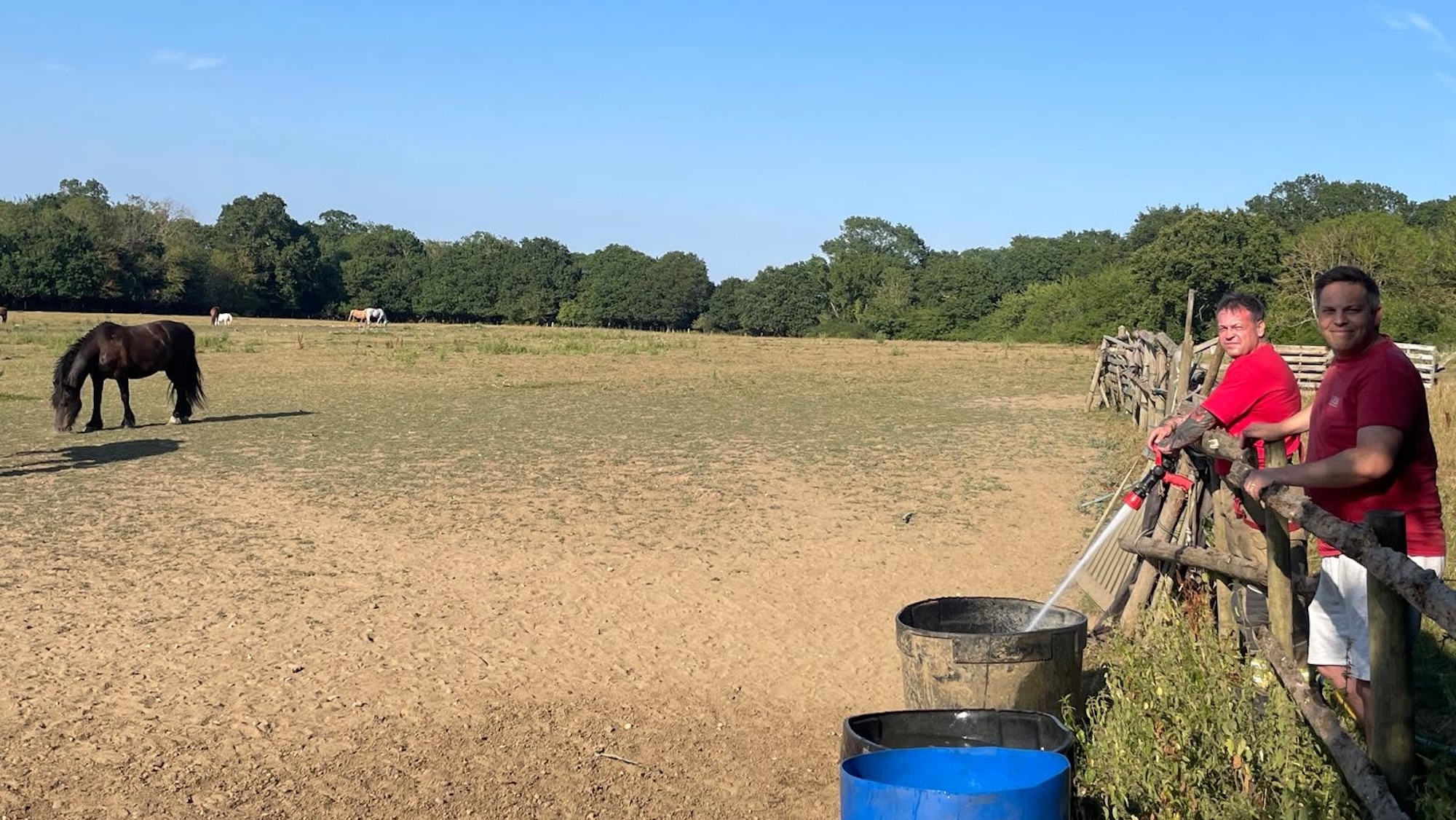 Firefighters fill troughs in a field of horses