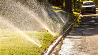 Sprinkler systems watering a lawn with water running off into the road