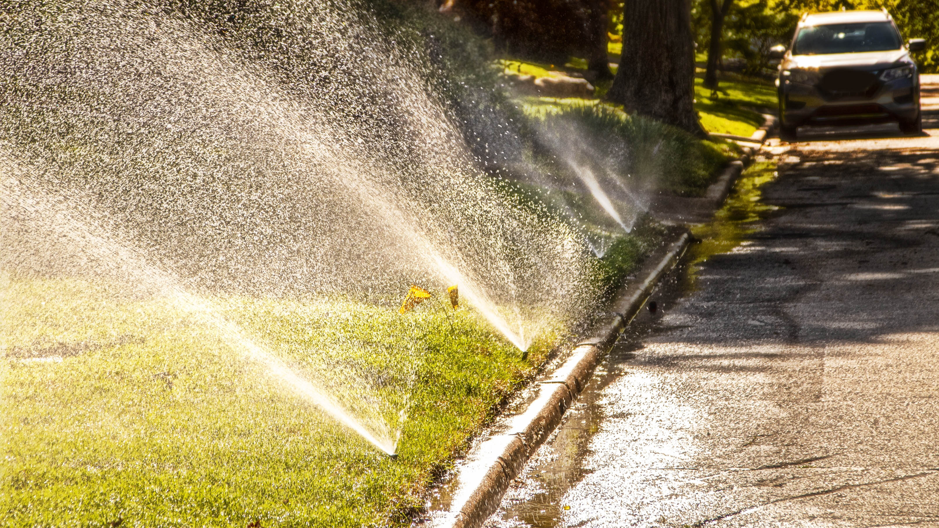 Спринклерные системы поливают газон водой, стекающей на дорогу