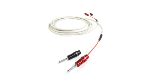 Speaker cable: Chord Company RumourX (2022)