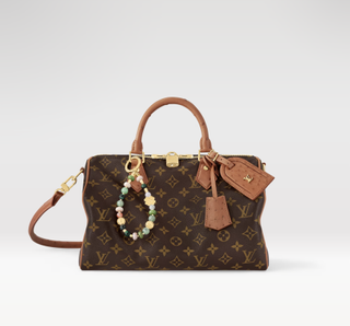 Louis Vuitton Speedy Soft 30 Boho Bag