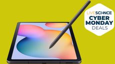 Samsung Galaxy Tab S6 Lite Cyber Monday