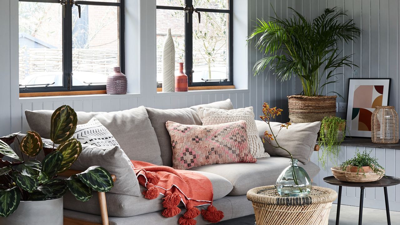 A living room with large windows and several houseplants