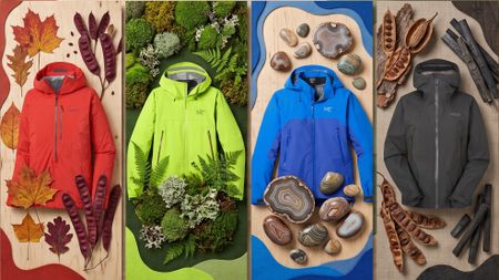 Selection of waterproof jackets against a woodland background 