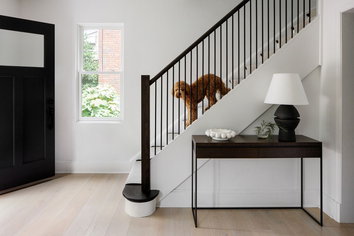 Ajoutez des plantes d'intérieur à votre escalier avec ce gadget astucieux : « C'est le moyen le plus simple de décorer avec du feuillage ! »