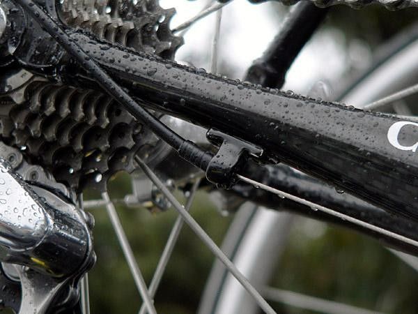 The use of sealed housing ferrules is a small detail,