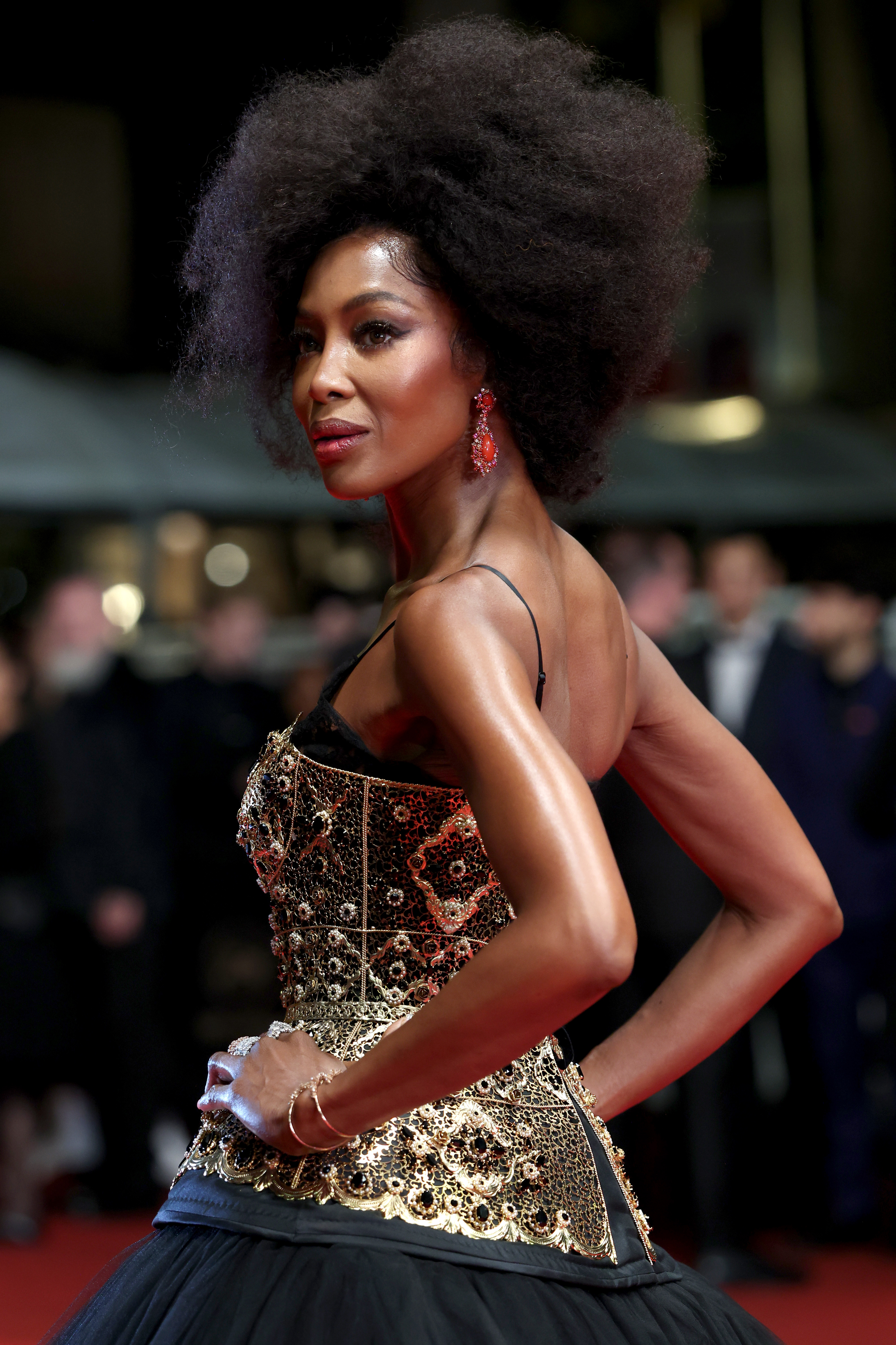 Naomi Campbell at the 2025 cannes film festival wearing a dolce gown
