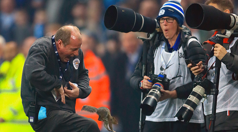 Man City squirrel