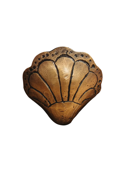 Brass Chunky Shell Knob